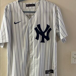 White and Navy Pinstripe Jersey